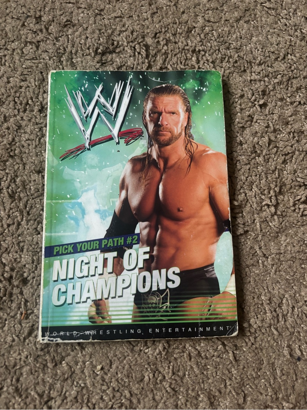 WWE Night of Champions Green Teal Wrestler Cover Paperback